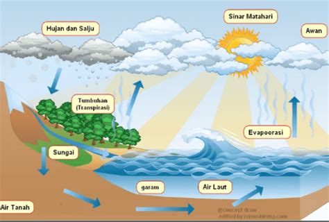 Penjelasan Singkat Proses Terjadinya Hujan - UtakAtikOtak.com