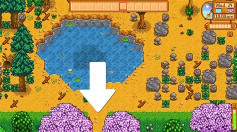 Stardew Valley Flower Dance location - GameRevolution