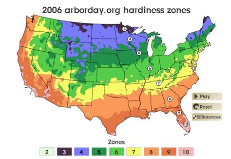 Have we warmed enough to plant that Zone 5 Japanese Maple? | Beds and ...