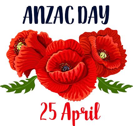 Anzac Day Poppy Vector 25 April Australian Icon Stock Illustration ...