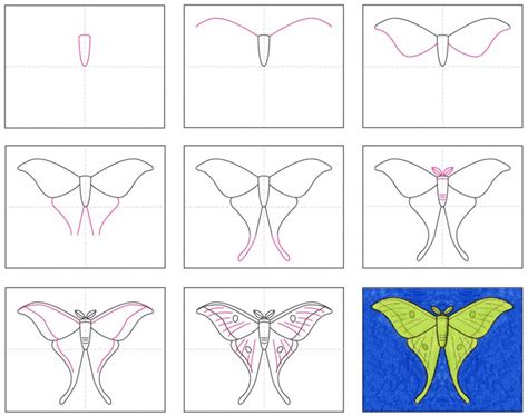 Easy How to Draw a Moth Tutorial and Moth Coloring Page | Moth drawing ...