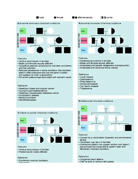 Genetics Punnett Squares - NURS 371 - Studocu