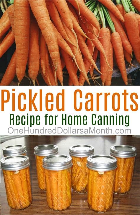 Canning 101 - Pickled Dill Carrots - One Hundred Dollars a Month