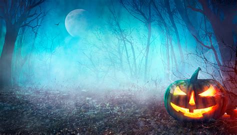 Halloween Spooky Forest Stock Photo - Download Image Now - iStock