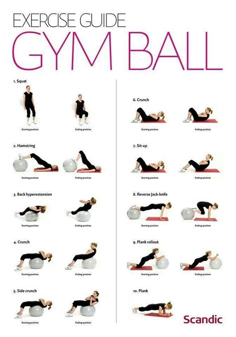 Bal oefeninge | Gym ball, Workout guide, Ball exercises