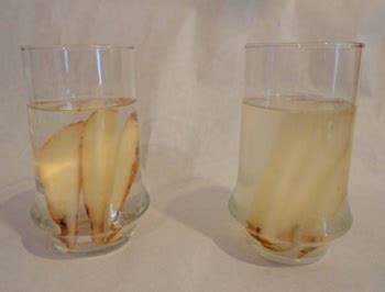 Simple Science Experiment: Osmosis with Potato Slices - MetroFamily ...