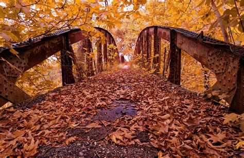 Autumn Bridge Images Wallpapers - Wallpaper Cave