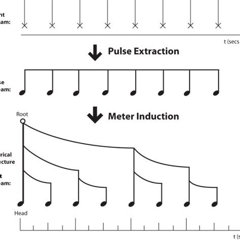 Familiar Musical Examples of Meter with or without Anacrusis. (A) March ...