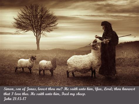 I talk...God listens: ~ "Feed my sheep..."