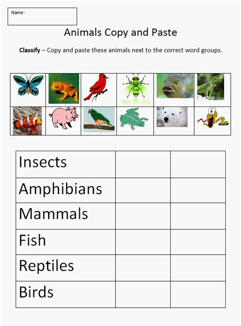 Animals Classification Worksheets