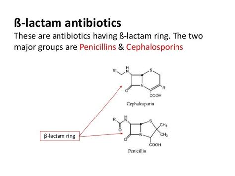 Beta lactam antibiotics(Penicillin, Cephalosporin)