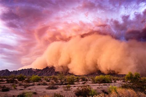 What is desertification and how is it impacting climate change? | World ...