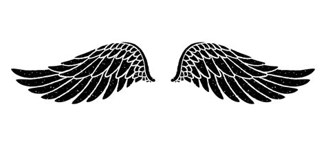 Hand drawn bird or angel grunge textured flapping wings. Hand drawn ...