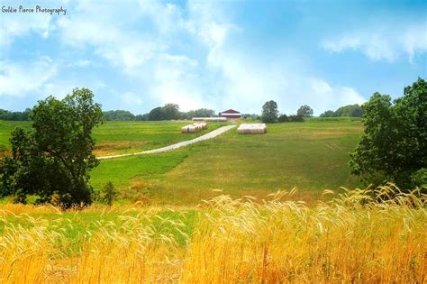 Iowa Country Landscape Photograph by Goldie Pierce - Fine Art America