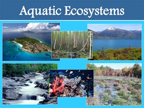 Aquatic Ecosystems | OMICS Publishing Group - International Science ...