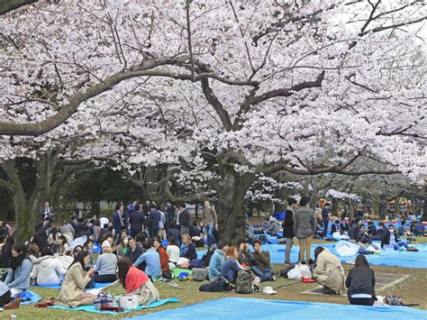 Yoyogi Park | CHUGOKU＋SHIKOKU×TOKYO (JAPAN)