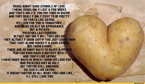 Funny Quotes About Potatoes. QuotesGram