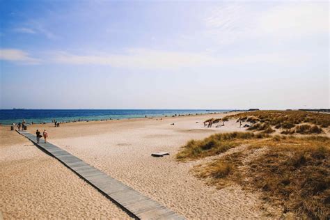 16 Best Beaches & Swimming Spots in Copenhagen, Denmark