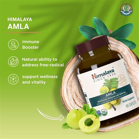 Best Immunity Booster Ayurvedic Medicine