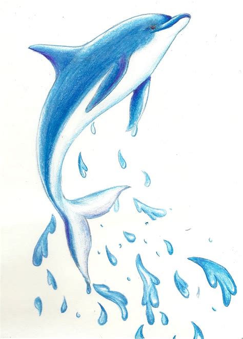 Dolphin Drawing - Cliparts.co