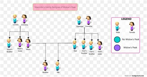 Genetics Family Tree Chart