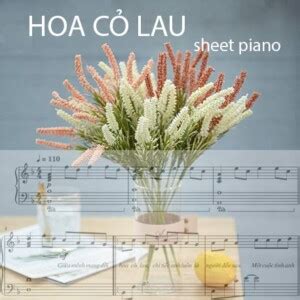 Hợp âm Hoa Cỏ Lau - Sheet piano và File midi - Shop Piano Fun