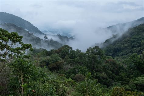 The Clouds-Mount Totumas Cloud Forest-Volcan-3022 - Enchanted by the Wild