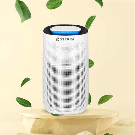 Top 10 Best Air Purifiers in Malaysia 2022 | Teh Talk