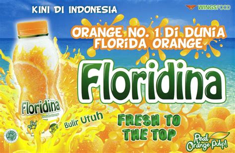 PT Bengkulu Distribusindo Raya (WINGS): Floridina