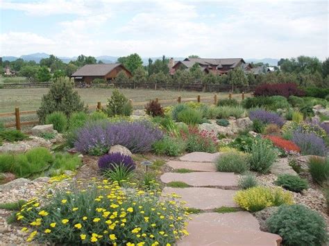 Xeriscape Ground Cover Colorado - ground cover good