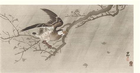 History of Japanese Bird Prints Chapter 3 - Shin Hanga Bird Prints