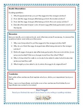 Cell Membranes and Osmosis Experiment- Lab Report Guide by Hands On ...