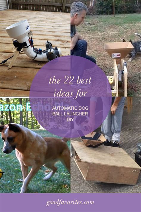 The 22 Best Ideas for Automatic Dog Ball Launcher Diy – Home, Family ...