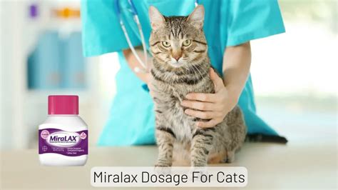 Miralax Dosage For Cats: Dosage Chart By Weight