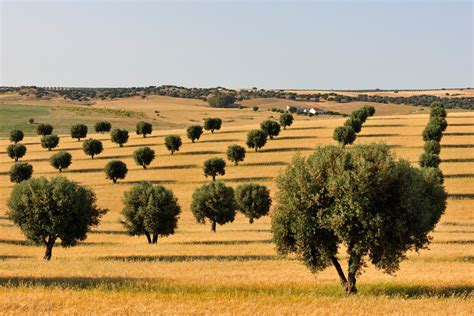 Ruta por el Alentejo portugués (I): Baixo Alentejo