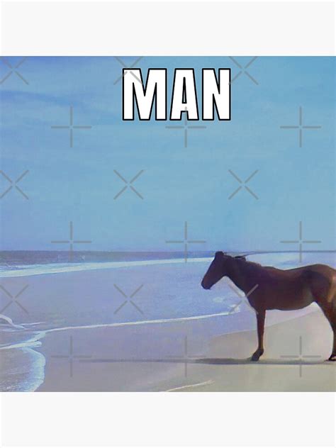 "Man ♞ HD / Horse on Beach Meme" Photographic Print for Sale by Rzera ...