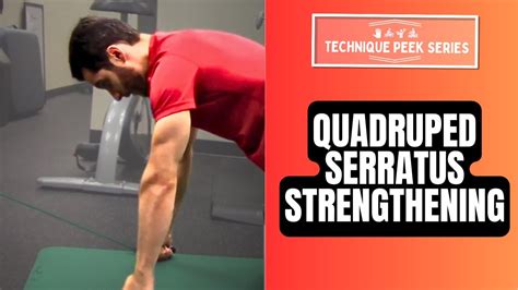 Serratus Anterior Exercise in Close Chain Quadruped Position ...