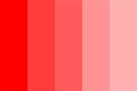 Pinks And Reds Color Palette | Color palette pink, Color palette bright ...