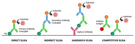 Enzyme linked immunosorbantassay- lab diagnosis: A review - IJMR