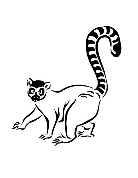 Ring Tailed Lemur Drawing | Free download on ClipArtMag