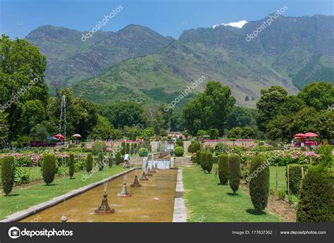 Mughal Garden Srinagar India Stock Photo by ©mazzzur 177637362