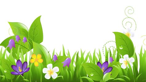 Flower Backgrounds For Powerpoint