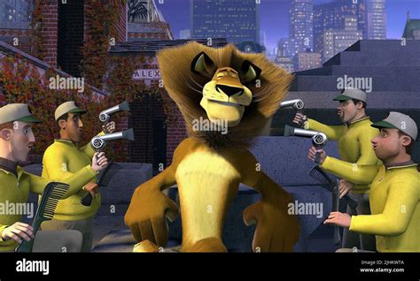 ALEX THE LION, MADAGASCAR, 2005 Stock Photo - Alamy