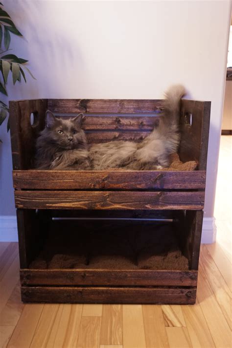 How to Build Cat Bunk Beds Out of Crates - Martensville Veterinary Hospital