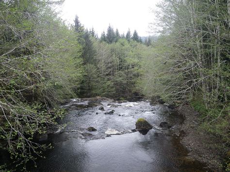 Prince of Wales: Steelhead Fishing