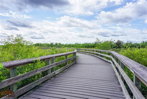 5 Best Short and Easy Hikes in Everglades National Park