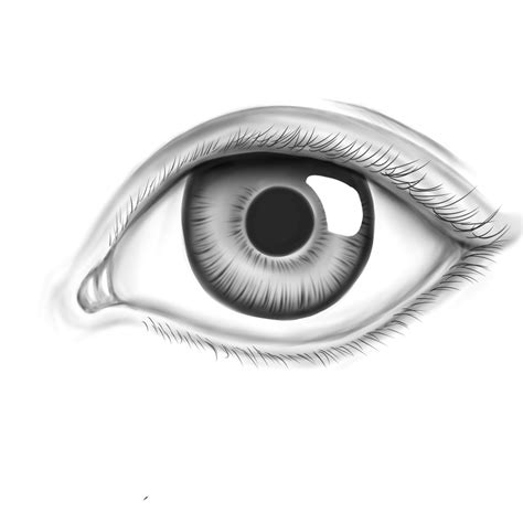 Realistic Eye by Appletumble on deviantART | Eye drawing, Eye outline ...