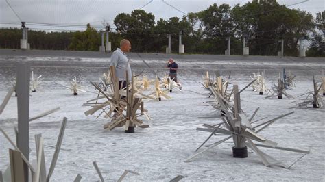 Wild Rose Musky Habitat Study Delayed - Fishiding Reclaimed Artificial ...