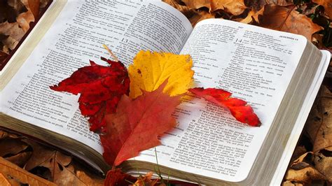 Autumn leaves and Bible verses | Guideposts