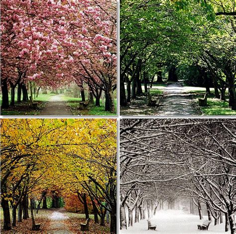 Beauty of 4 Seasons of the Year! Spring, Summer, Autumn, and Winter! # ...